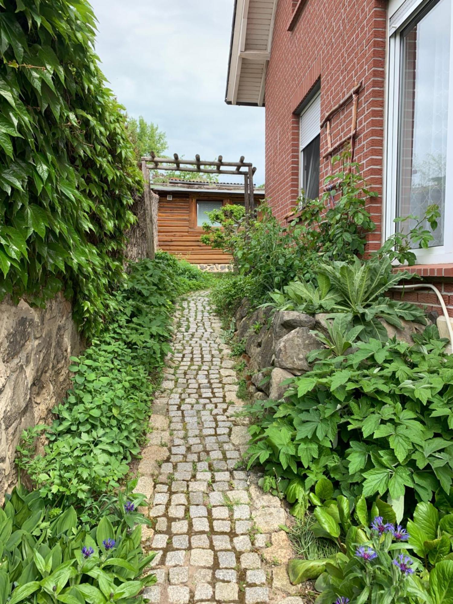Blockhausvermietung Vor dem Gröperntor Quedlinburg Exterior foto
