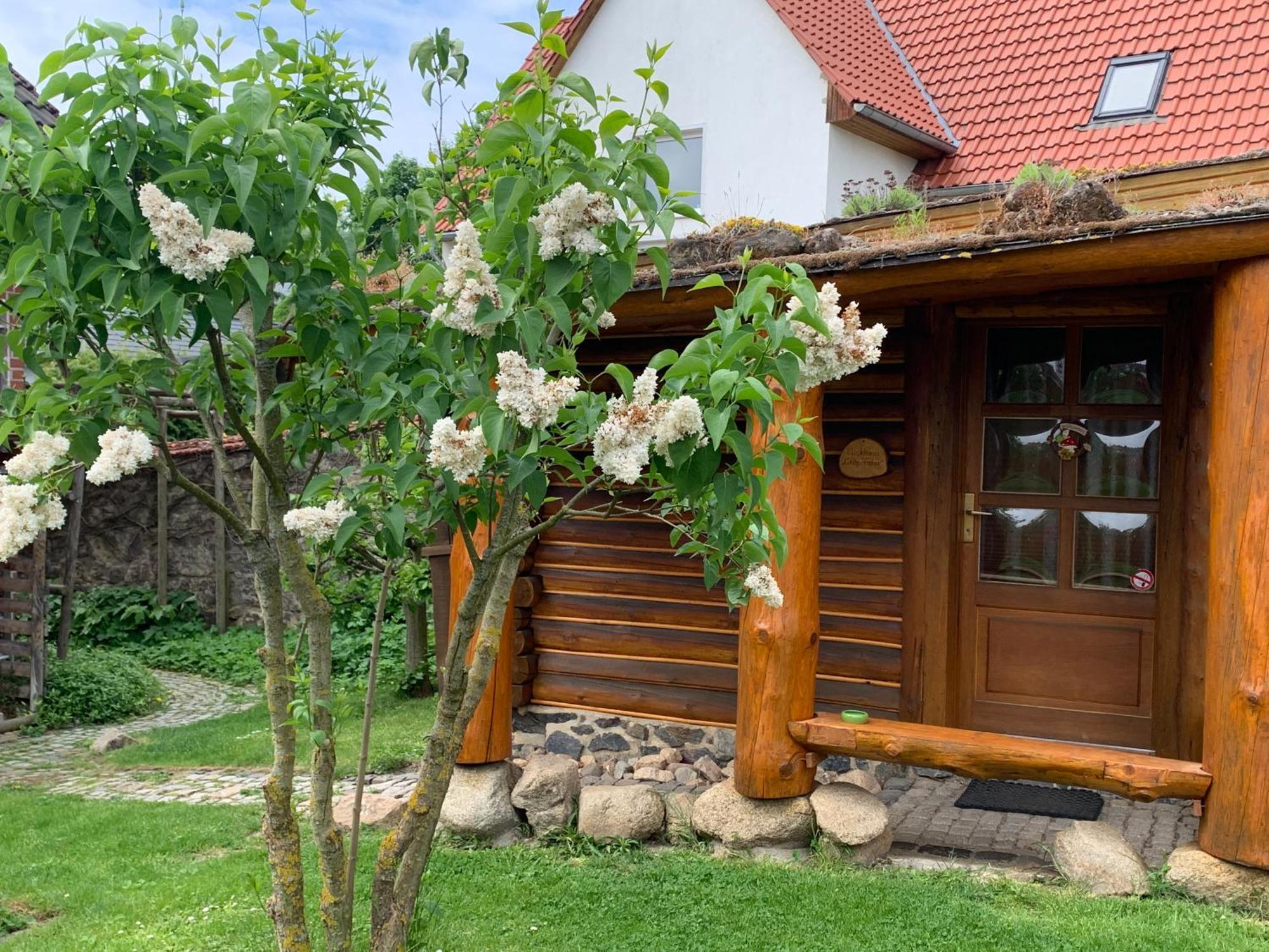 Blockhausvermietung Vor dem Gröperntor Quedlinburg Exterior foto